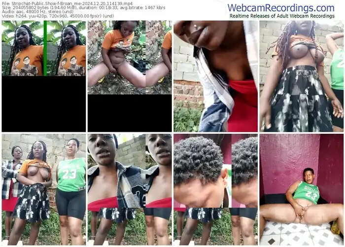 2024/12/20/stripchat-broan_me-11-41-39