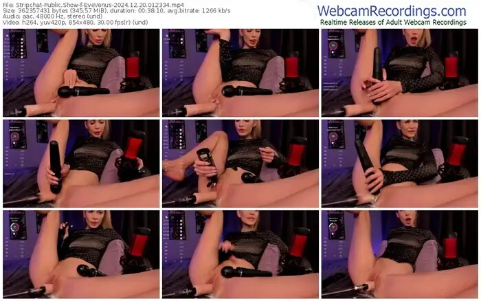 2024/12/20/stripchat-evevenus-01-23-34