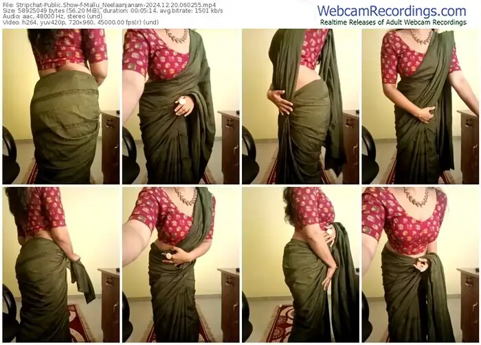 2024/12/20/stripchat-mallu_neelaanjanam-06-02-55