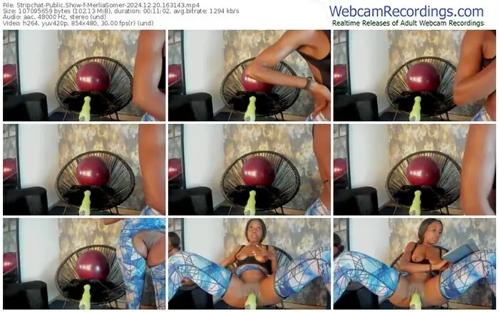 2024/12/20/stripchat-merliasomer-16-31-43
