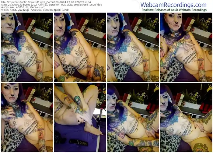2024/12/20/stripchat-purple_coffin666-17-00-29