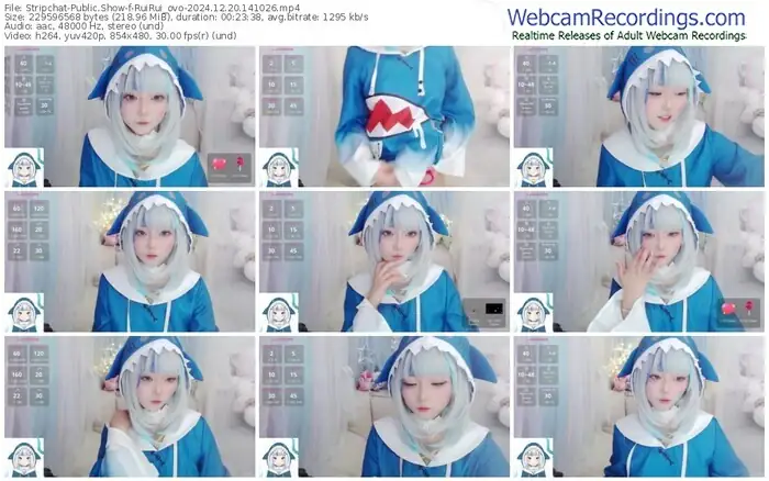 2024/12/20/stripchat-ruirui_ovo-14-10-26
