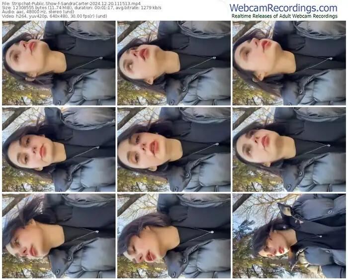 2024/12/20/stripchat-sandracarter-11-15-13