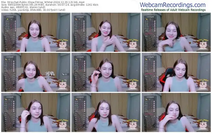 2024/12/20/stripchat-wise_whiter-12-13-41