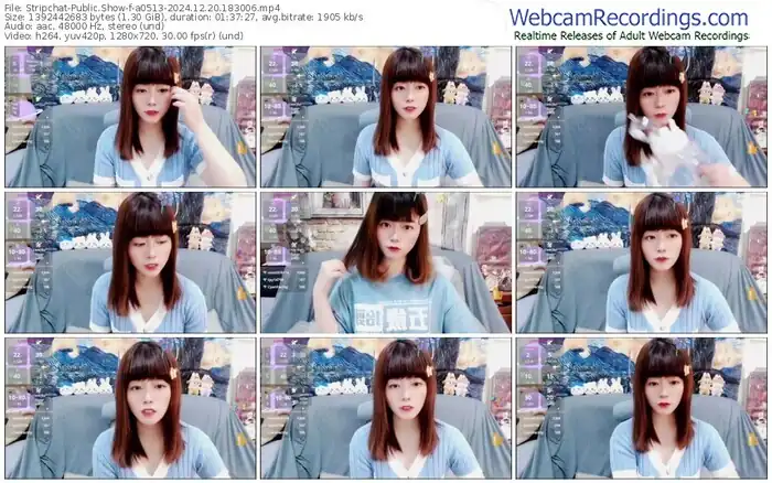 2024/12/20/stripchat-a0513-18-30-06