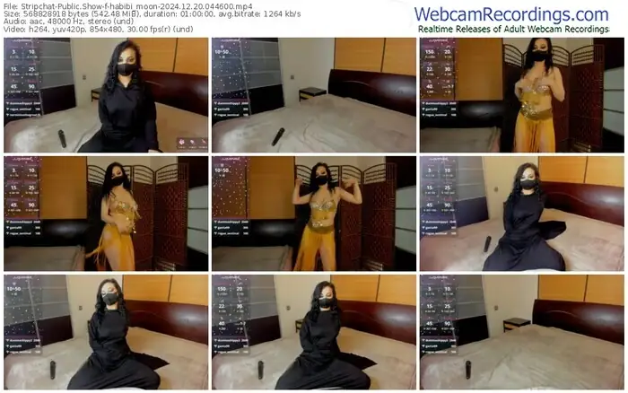 2024/12/20/stripchat-habibi_moon-04-46-00
