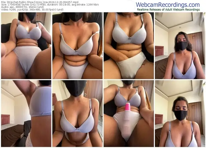 2024/12/20/stripchat-miss_lina-09-42-57