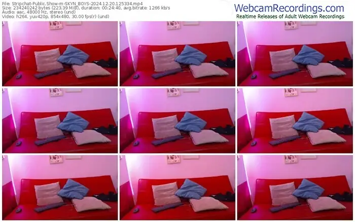 2024/12/20/stripchat-skyn_boys-12-53-34