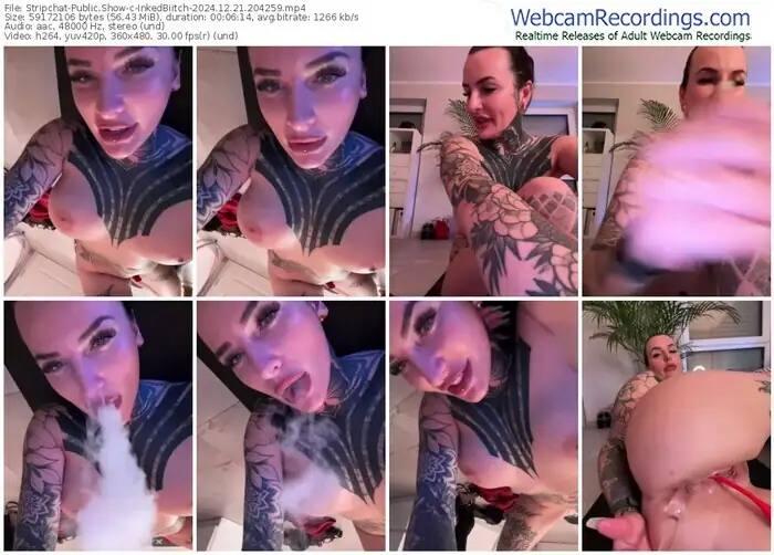 2024/12/21/stripchat-inkedbiitch-20-42-59