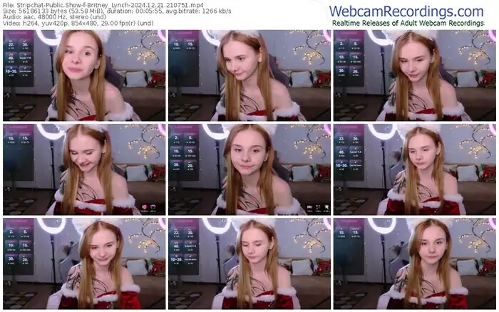 2024/12/21/stripchat-britney_lynch-21-07-51