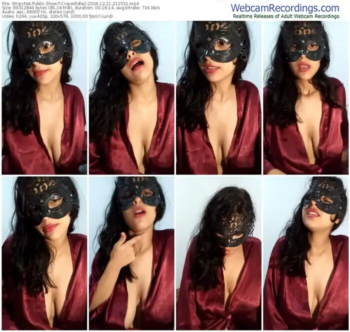 2024/12/21/stripchat-cravedldle2-21-15-51