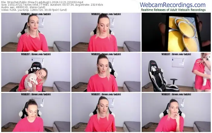 2024/12/21/stripchat-ladybug11-22-19-32