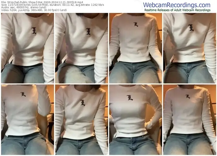 2024/12/21/stripchat-mei_0906-00-05-18