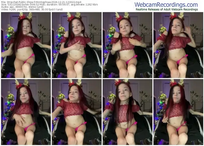 2024/12/21/stripchat-minisophiaa-12-33-22