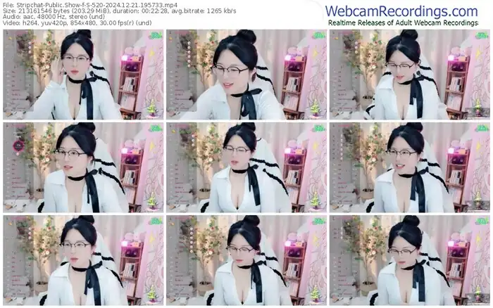 2024/12/21/stripchat-s-520-19-57-33