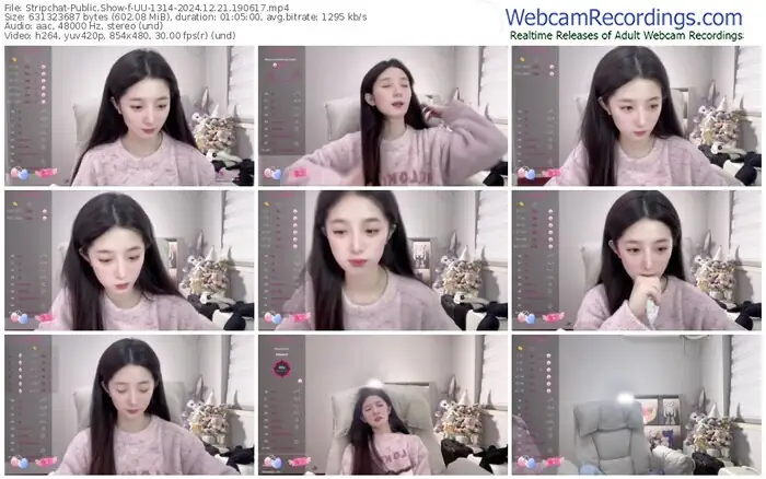 2024/12/21/stripchat-uu-1314-19-06-17