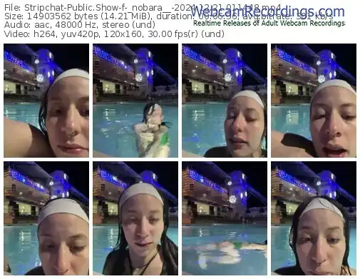 2024/12/21/stripchat-_nobara__-01-14-48