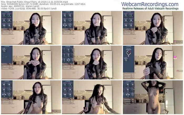 2024/12/21/stripchat-fairy_di-01-50-34