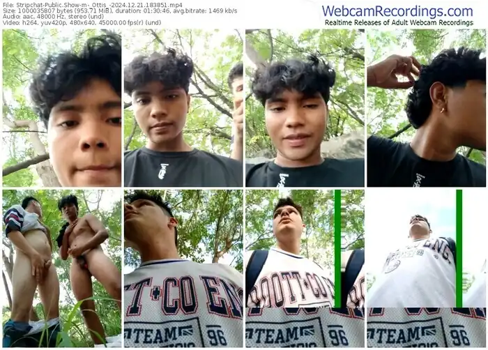 2024/12/21/stripchat-_ottis_-18-38-51