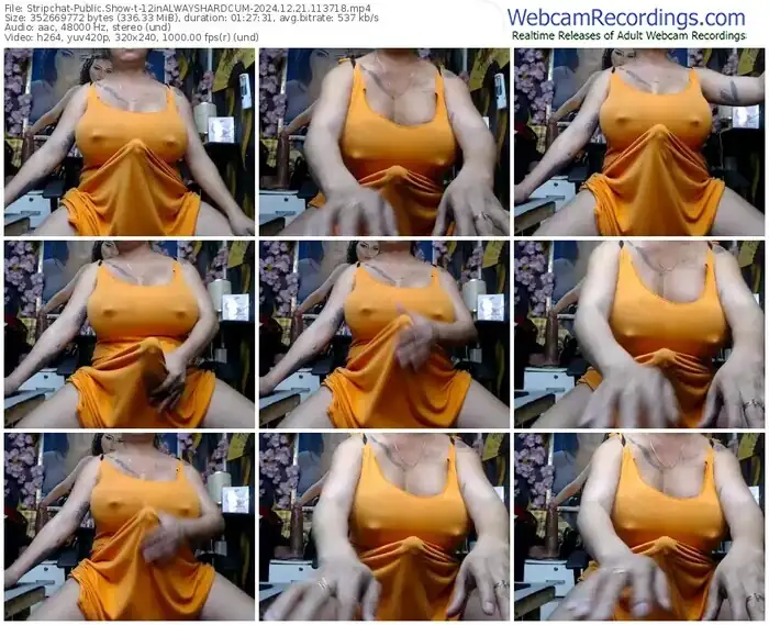 2024/12/21/stripchat-12inalwayshardcum-11-37-18