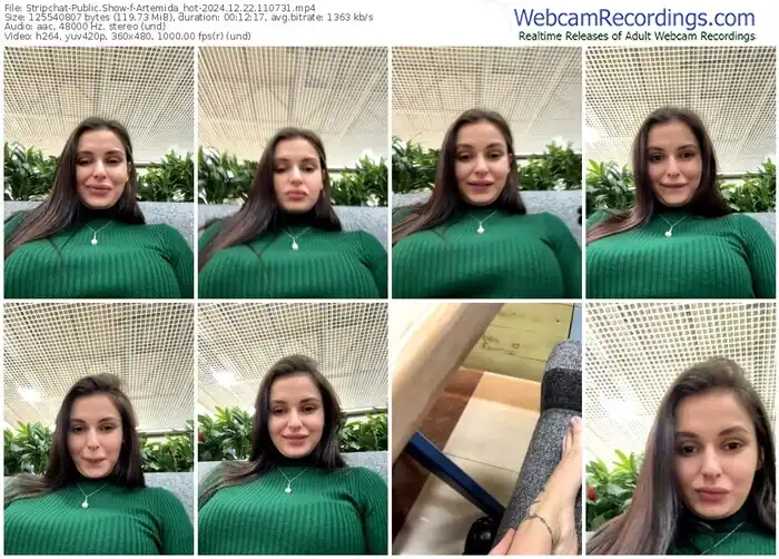 2024/12/22/stripchat-artemida_hot-11-07-31