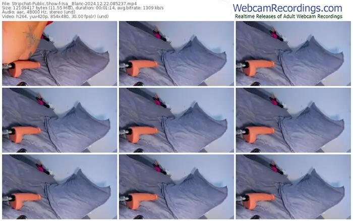 2024/12/22/stripchat-isa__blanc-08-52-37