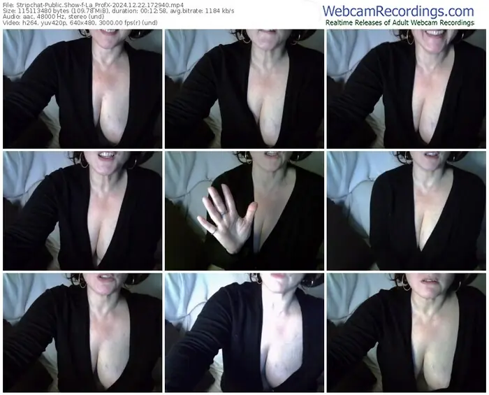 2024/12/22/stripchat-la_profx-17-29-40