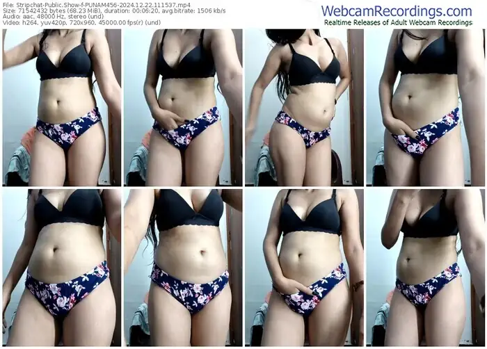 2024/12/22/stripchat-punam456-11-15-37