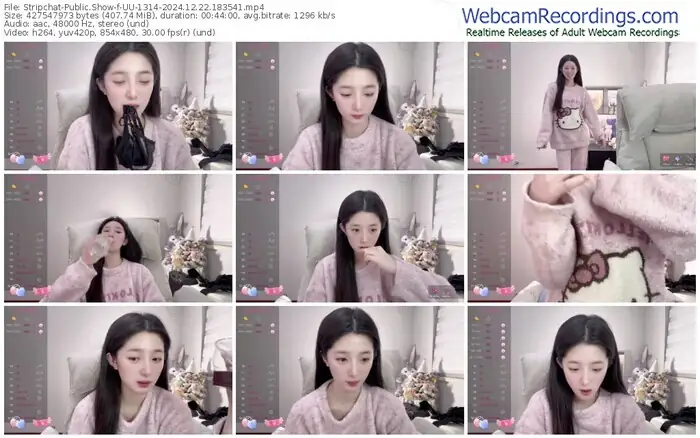 2024/12/22/stripchat-uu-1314-18-35-41