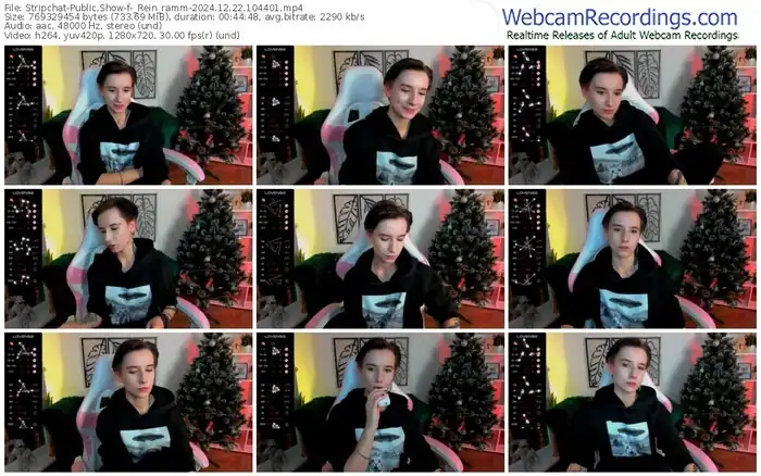 2024/12/22/stripchat-_rein_ramm-10-44-01