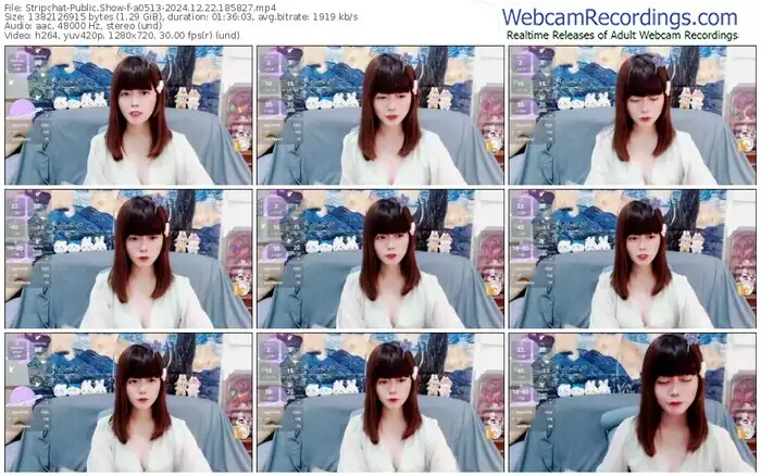 2024/12/22/stripchat-a0513-18-58-27