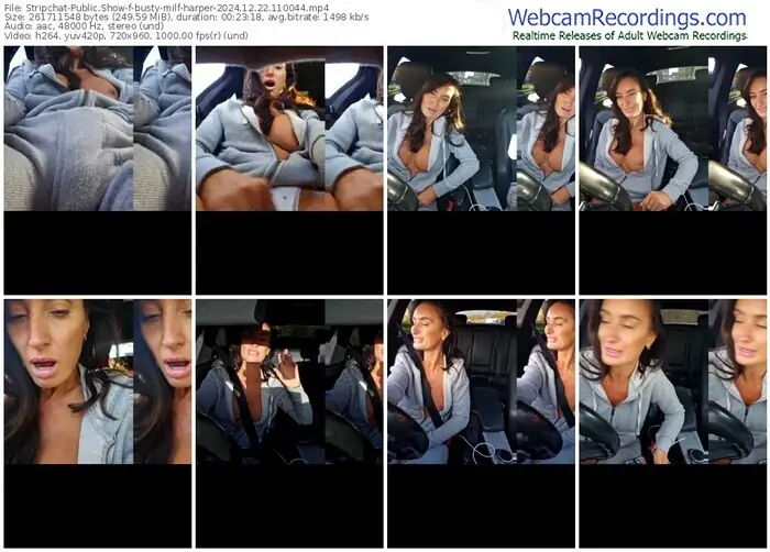 2024/12/22/stripchat-busty-milf-harper-11-00-44