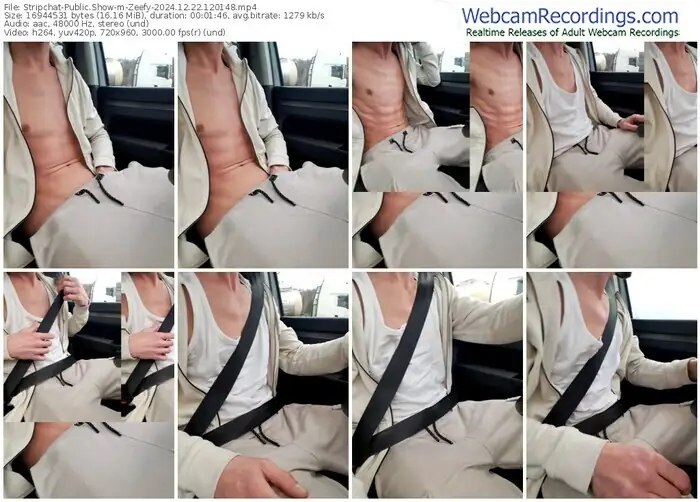 2024/12/22/stripchat-zeefy-12-01-48
