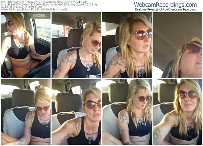 2024/12/23/stripchat-sheissomething-22-35-44