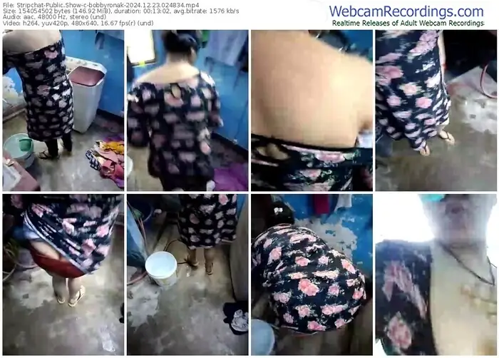 2024/12/23/stripchat-bobbyronak-02-48-34