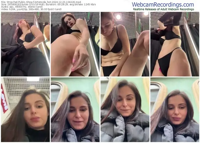 2024/12/23/stripchat-artemida_hot-10-42-26