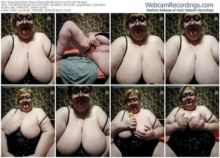 2024/12/23/stripchat-awn290668-12-47-48