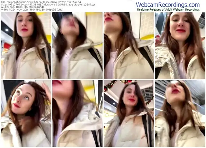 2024/12/23/stripchat-dina_tease-13-52-15
