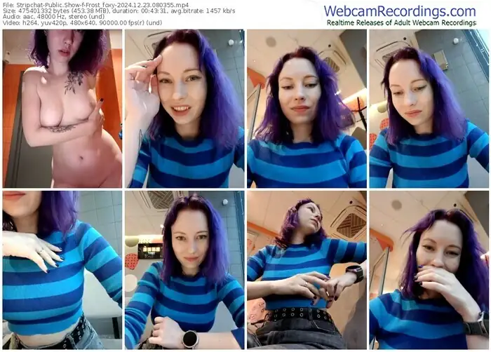 2024/12/23/stripchat-frost_foxy-08-03-55