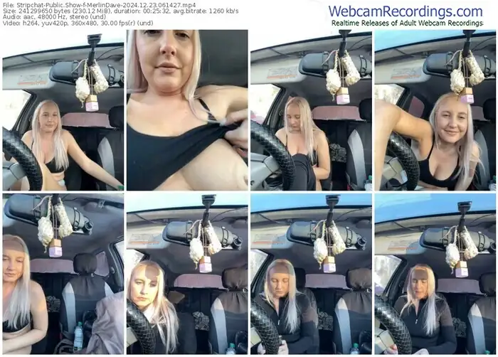 2024/12/23/stripchat-merlindave-06-14-27