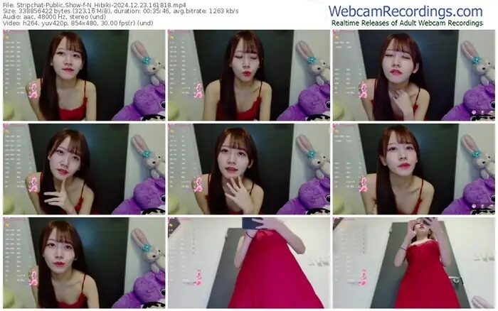 2024/12/23/stripchat-n_hibiki-16-18-18