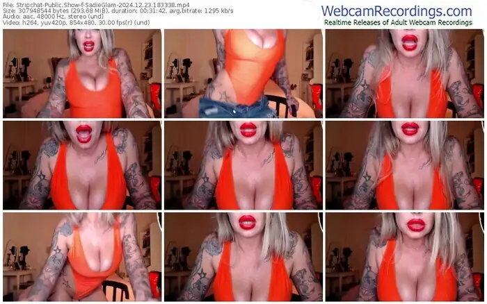 2024/12/23/stripchat-sadieglam-18-33-38