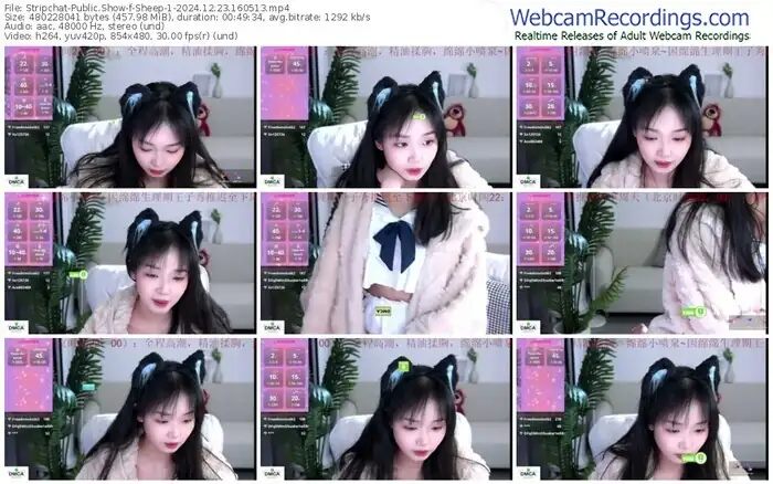 2024/12/23/stripchat-sheep-1-16-05-13