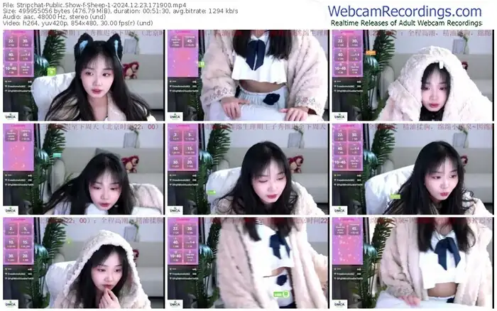 2024/12/23/stripchat-sheep-1-17-19-00