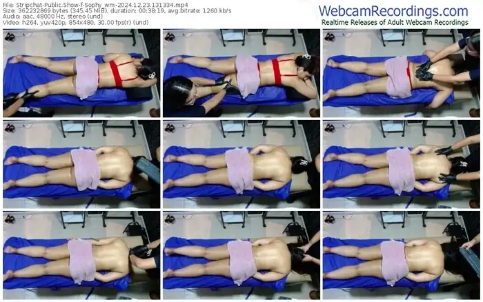 2024/12/23/stripchat-sophy_wm-13-13-34