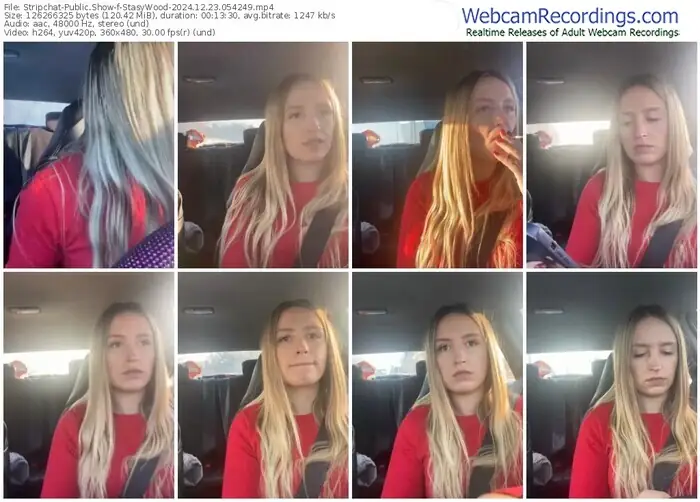 2024/12/23/stripchat-stasywood-05-42-49