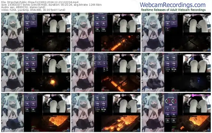 2024/12/23/stripchat-z23002-10-22-34