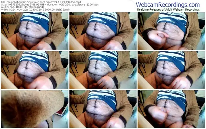 2024/12/23/stripchat-dan3106x-13-28-56