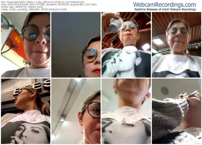 2024/12/24/stripchat-cata_office-12-15-46-18