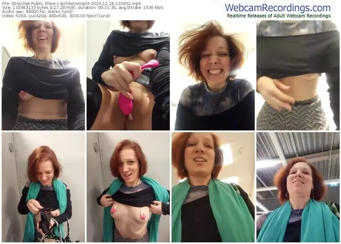 2024/12/24/stripchat-exhibitionsplit-12-36-52